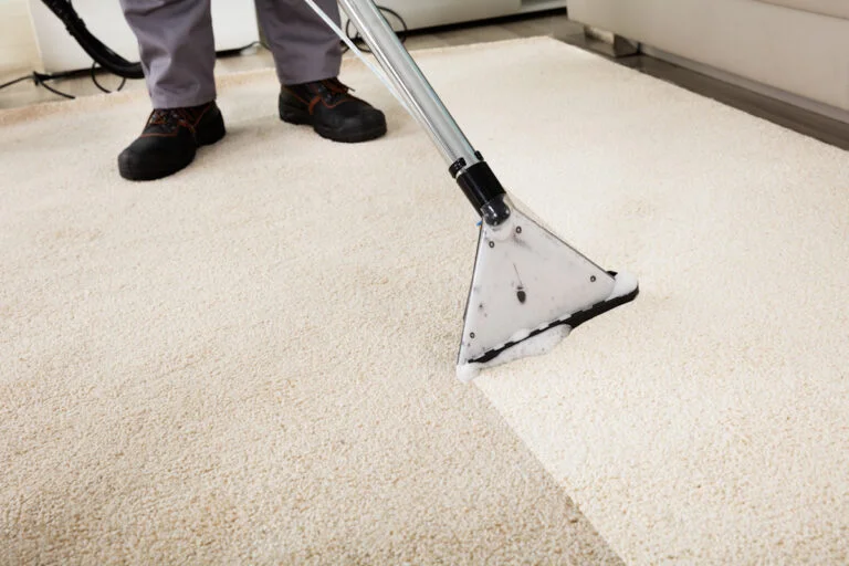 The Importance of Office Cleaning 2 Importance of Office Cleaning