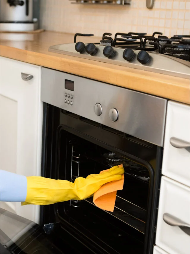 Mobile Oven Clean