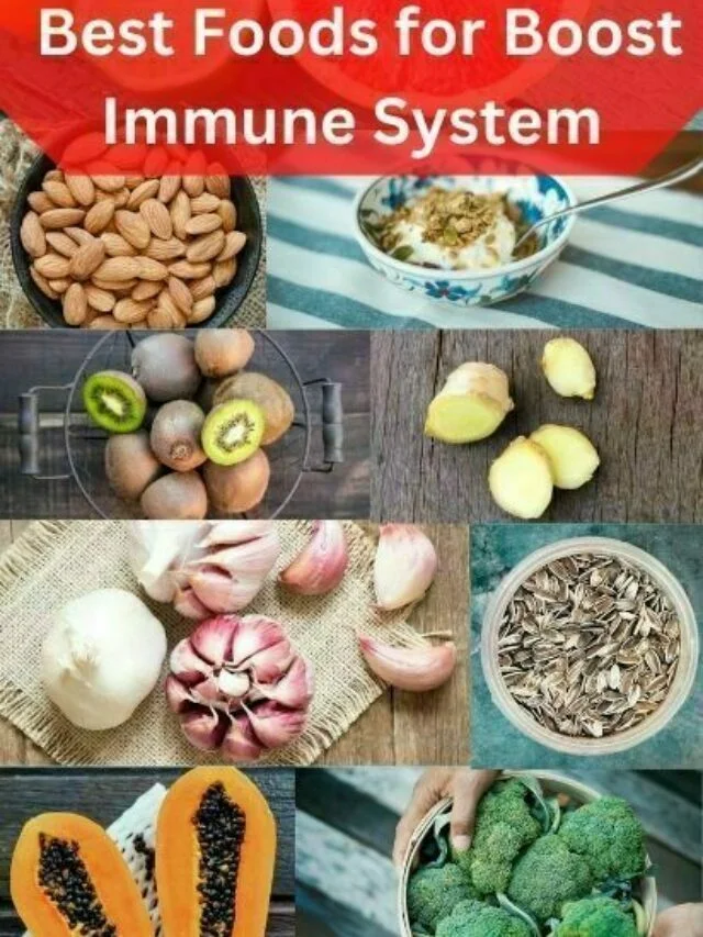 Top 14 Best Foods for Boost Immune System (1)