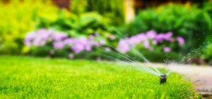 What is Garden Irrigation